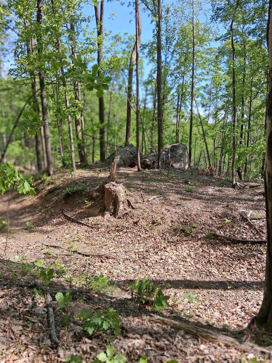 0 Robinson Gap Road, Monroe, VA 24574