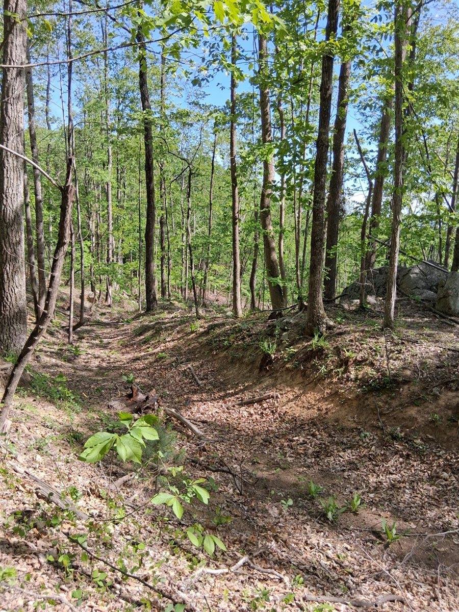 0 Robinson Gap Road, Monroe, VA 24574