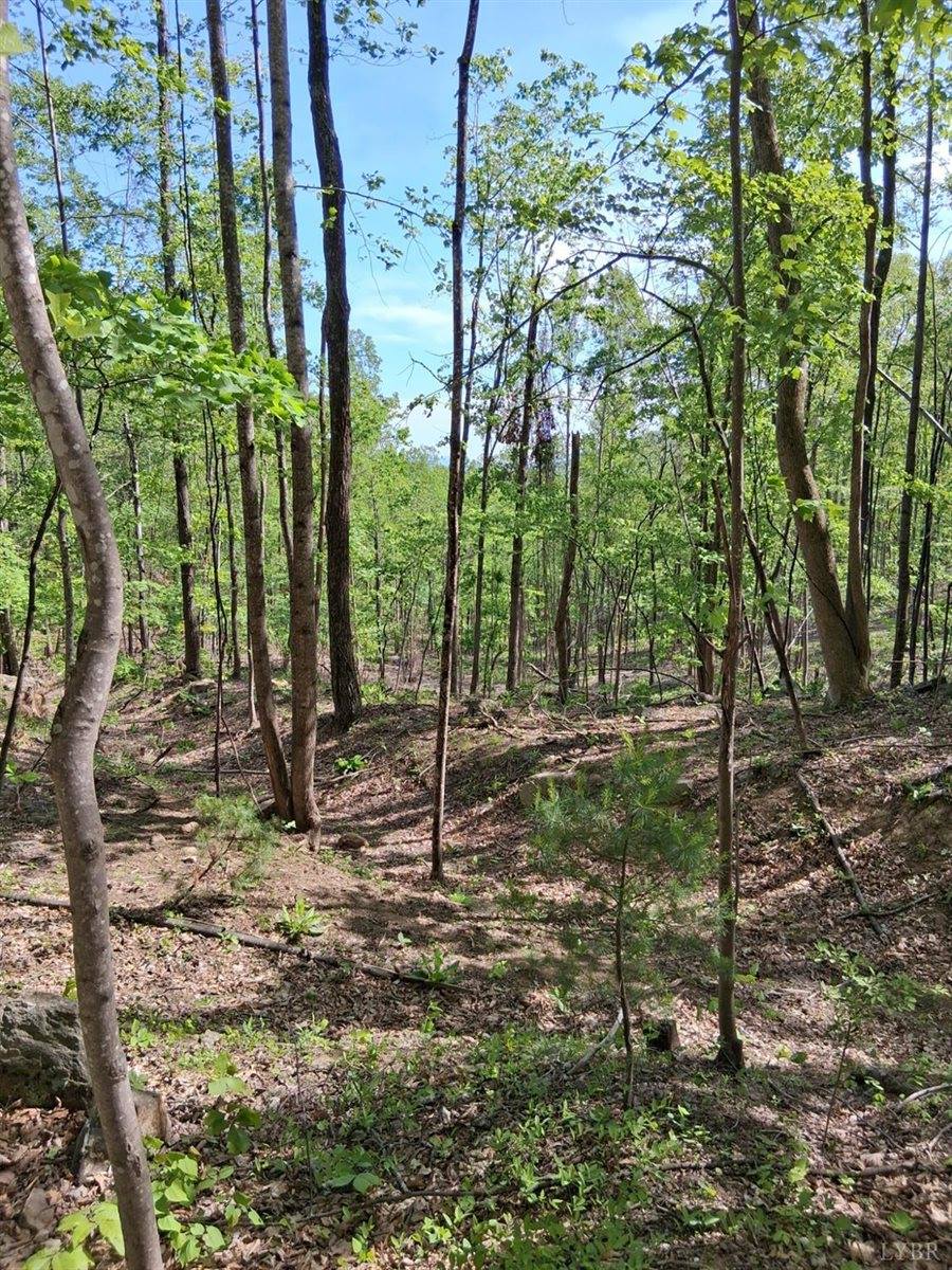 0 Robinson Gap Road, Monroe, VA 24574