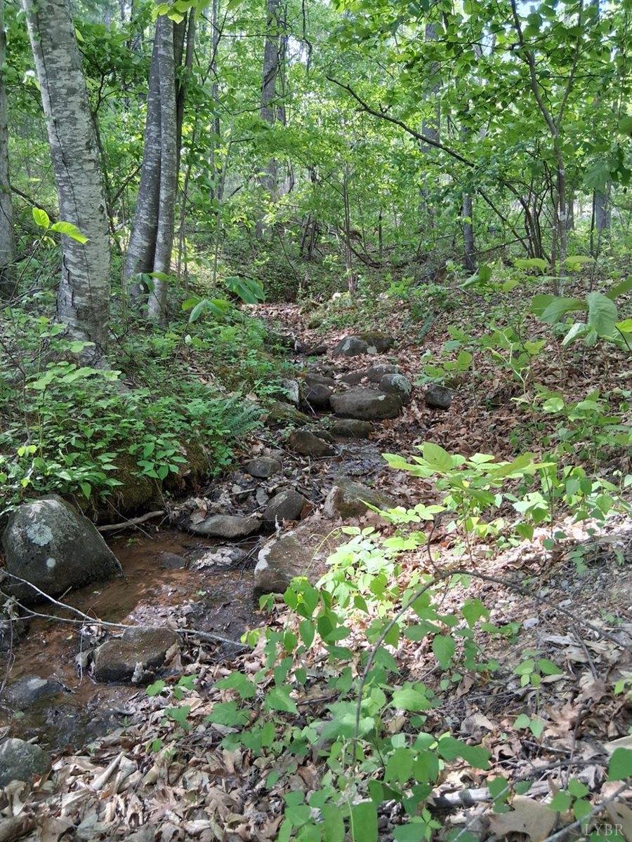 0 Robinson Gap Road, Monroe, VA 24574