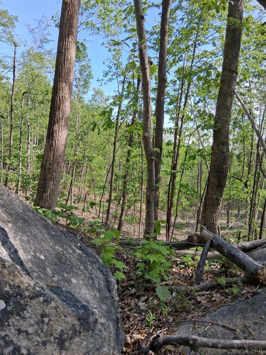 0 Robinson Gap Road, Monroe, VA 24574