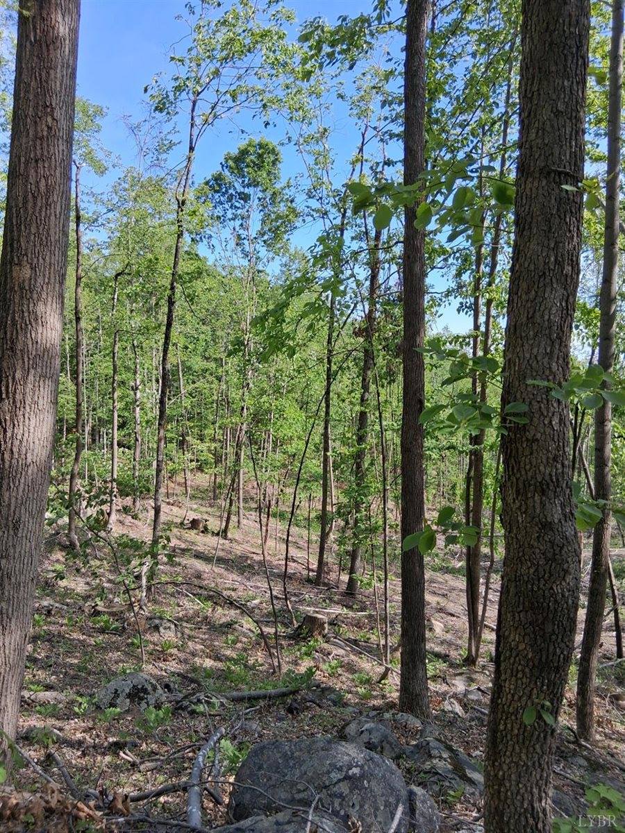 0 Robinson Gap Road, Monroe, VA 24574