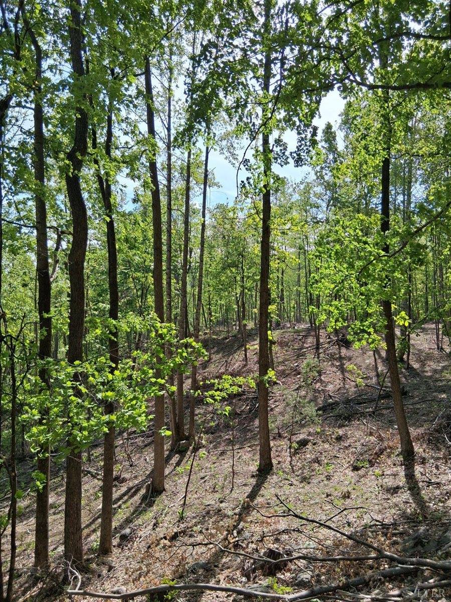 0 Robinson Gap Road, Monroe, VA 24574