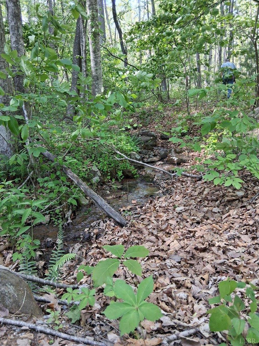 0 Robinson Gap Road, Monroe, VA 24574