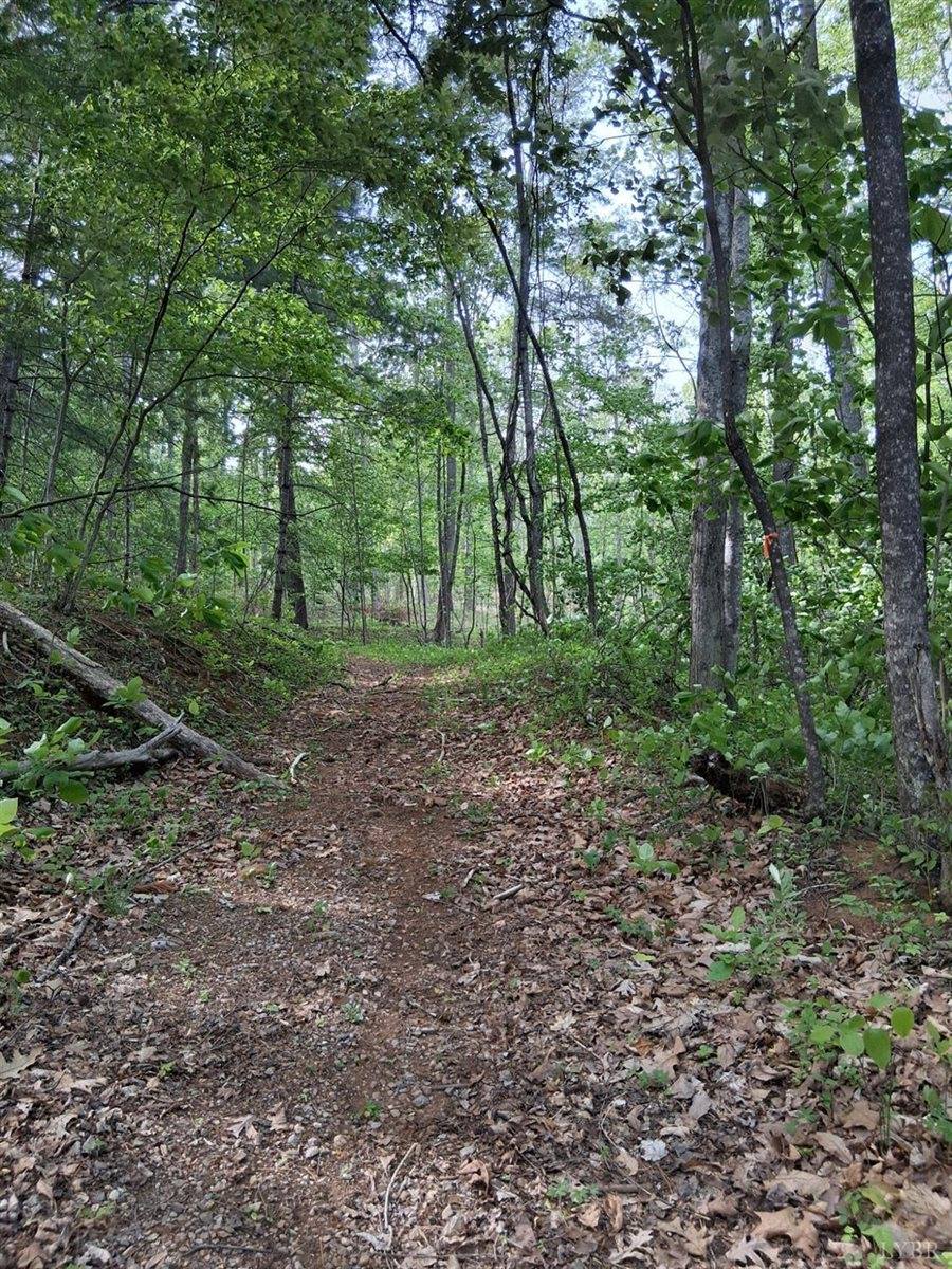 0 Robinson Gap Road, Monroe, VA 24574