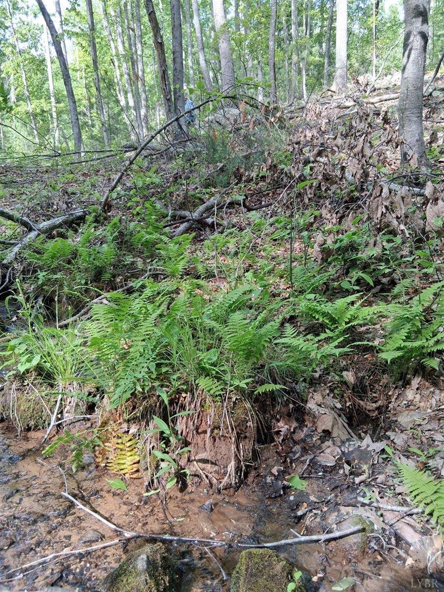 0 Robinson Gap Road, Monroe, VA 24574