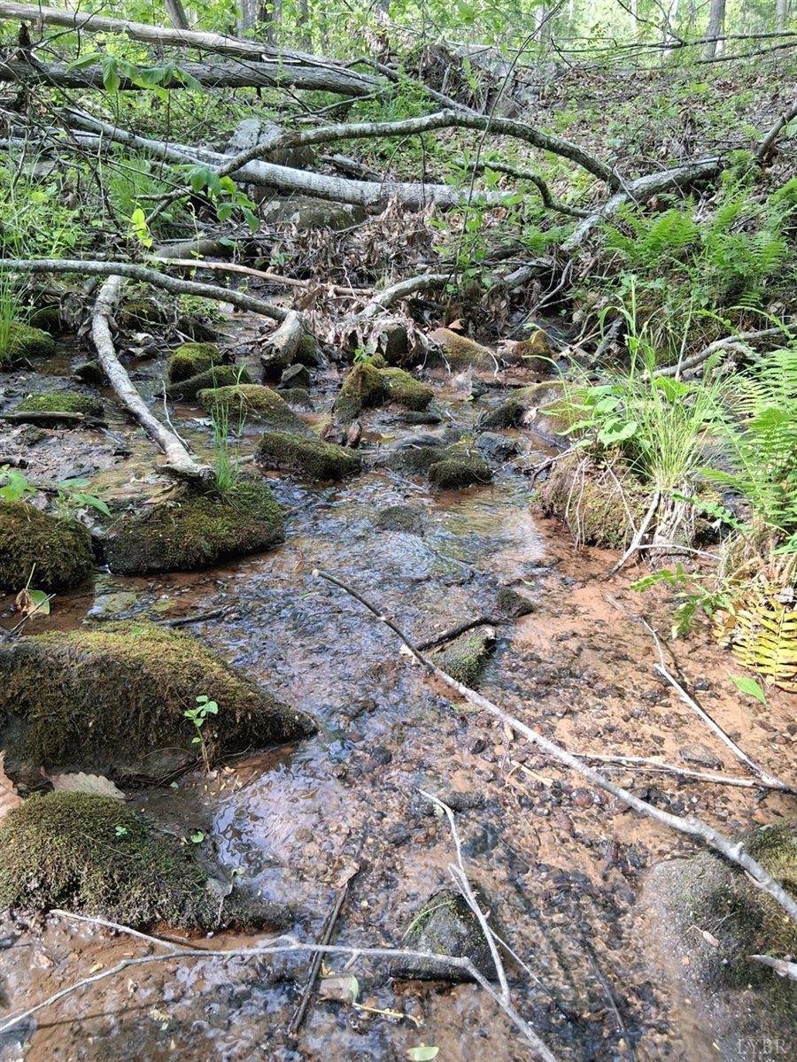 0 Robinson Gap Road, Monroe, VA 24574
