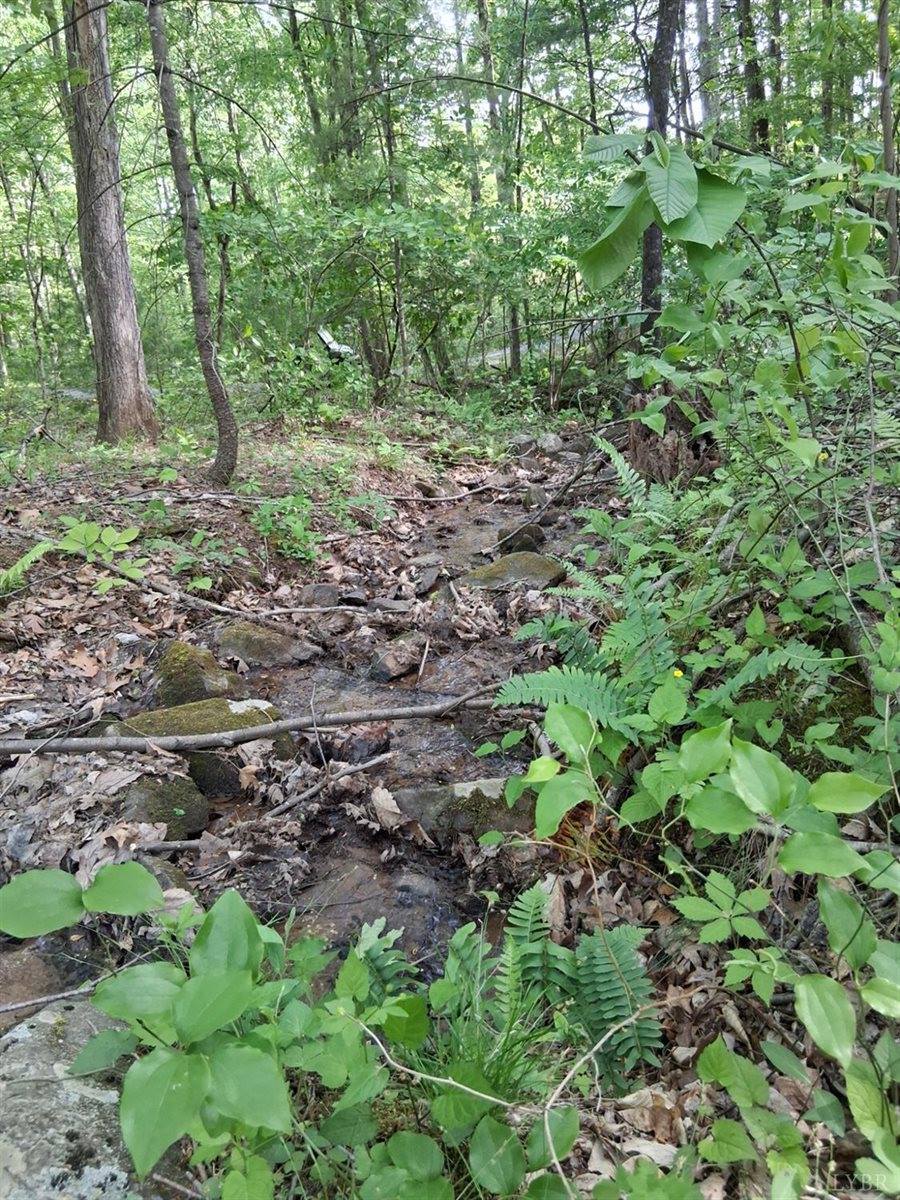 0 Robinson Gap Road, Monroe, VA 24574