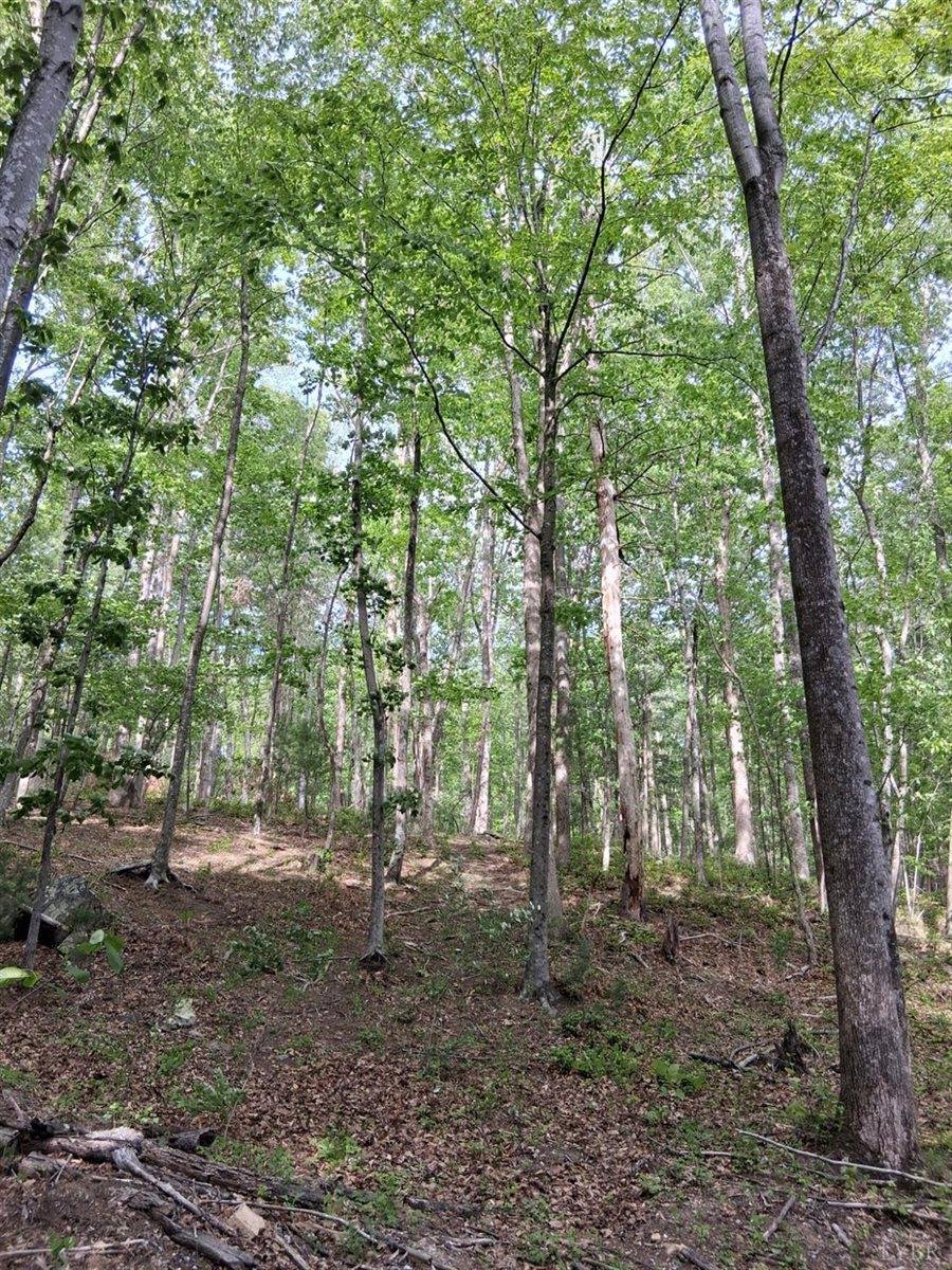 0 Robinson Gap Road, Monroe, VA 24574