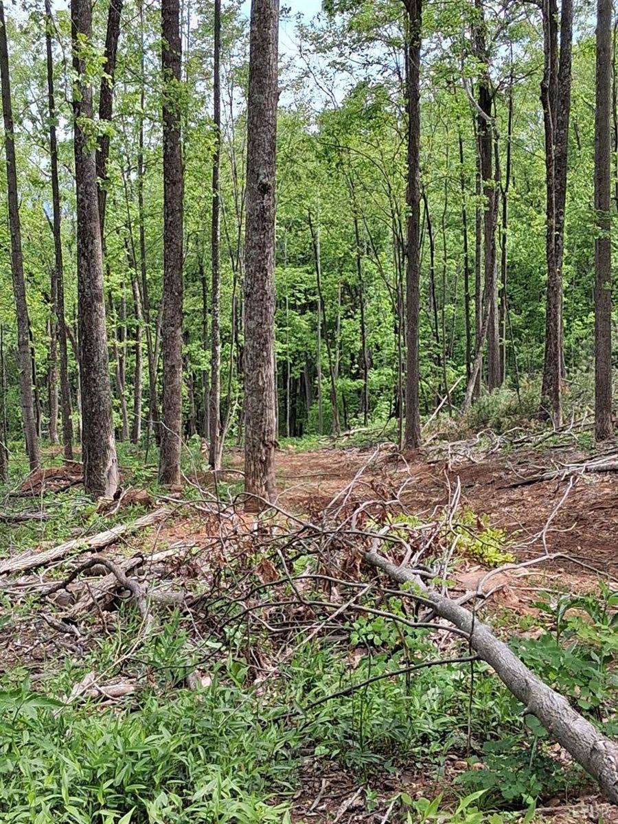 0 Robinson Gap Road, Monroe, VA 24574