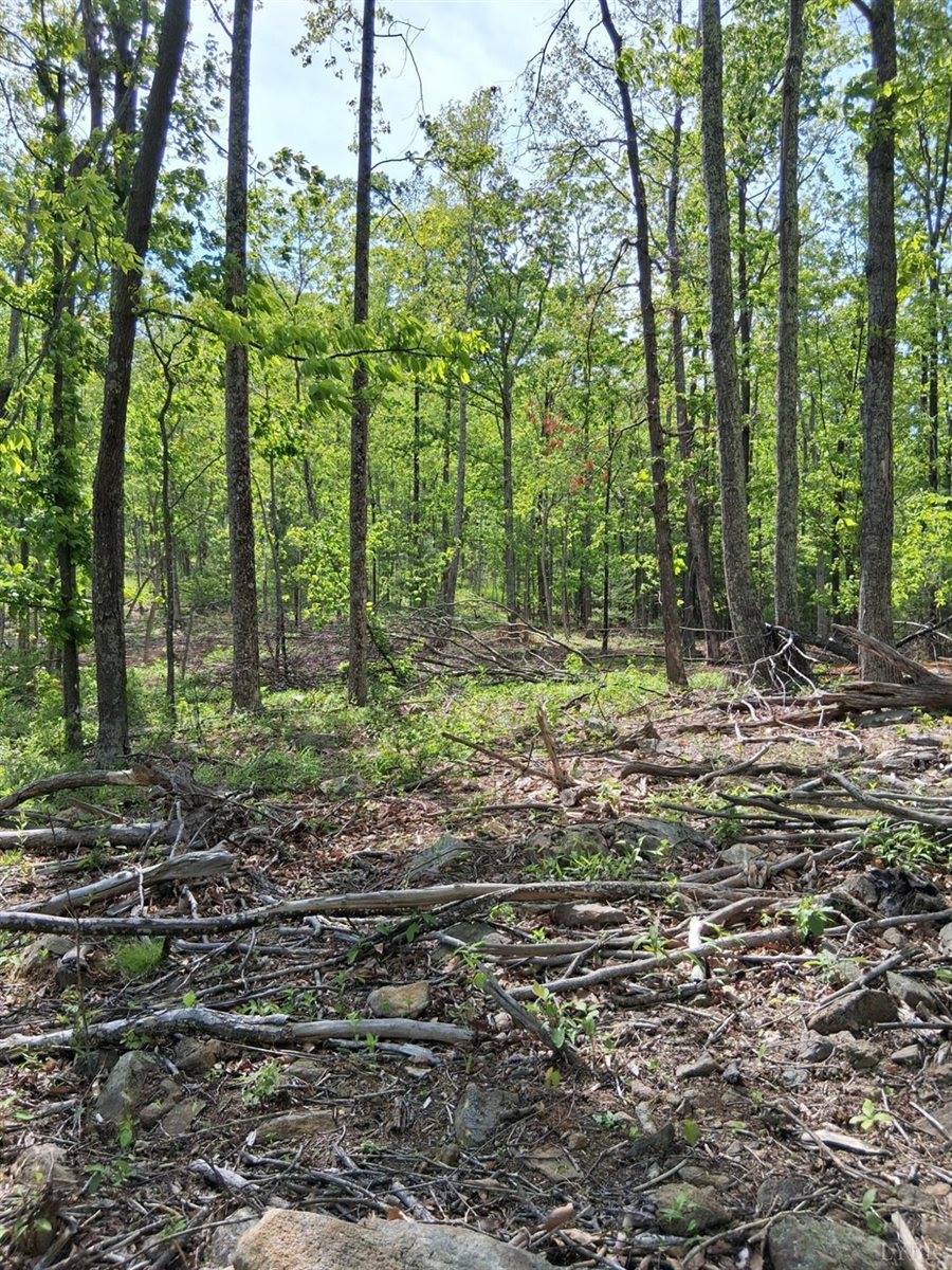 0 Robinson Gap Road, Monroe, VA 24574