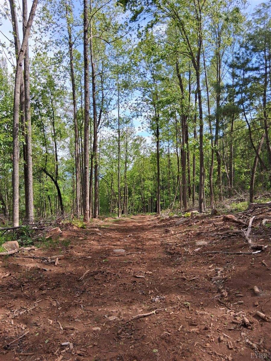 0 Robinson Gap Road, Monroe, VA 24574