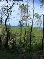 0 Robinson Gap Road, Monroe, VA 24574