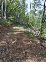 0 Robinson Gap Road, Monroe, VA 24574