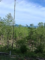 0 Robinson Gap Road, Monroe, VA 24574