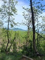 0 Robinson Gap Road, Monroe, VA 24574