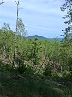 0 Robinson Gap Road, Monroe, VA 24574
