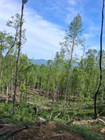 0 Robinson Gap Road, Monroe, VA 24574