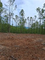 0 Robinson Gap Road, Monroe, VA 24574