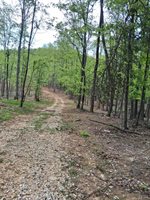 0 Robinson Gap Road, Monroe, VA 24574