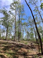 0 Robinson Gap Road, Monroe, VA 24574
