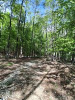 0 Robinson Gap Road, Monroe, VA 24574