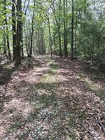 0 Robinson Gap Road, Monroe, VA 24574