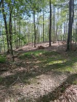0 Robinson Gap Road, Monroe, VA 24574