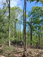 0 Robinson Gap Road, Monroe, VA 24574