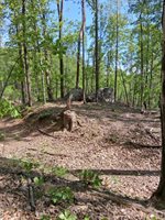 0 Robinson Gap Road, Monroe, VA 24574
