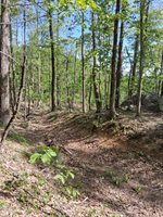 0 Robinson Gap Road, Monroe, VA 24574