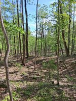 0 Robinson Gap Road, Monroe, VA 24574