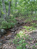 0 Robinson Gap Road, Monroe, VA 24574