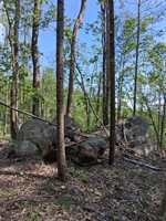 0 Robinson Gap Road, Monroe, VA 24574