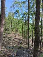 0 Robinson Gap Road, Monroe, VA 24574