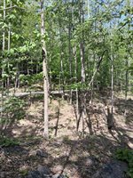 0 Robinson Gap Road, Monroe, VA 24574