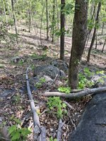 0 Robinson Gap Road, Monroe, VA 24574