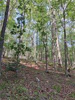 0 Robinson Gap Road, Monroe, VA 24574