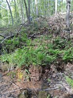 0 Robinson Gap Road, Monroe, VA 24574