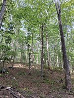 0 Robinson Gap Road, Monroe, VA 24574