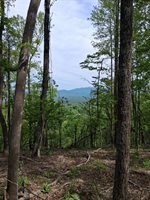 0 Robinson Gap Road, Monroe, VA 24574