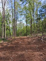 0 Robinson Gap Road, Monroe, VA 24574