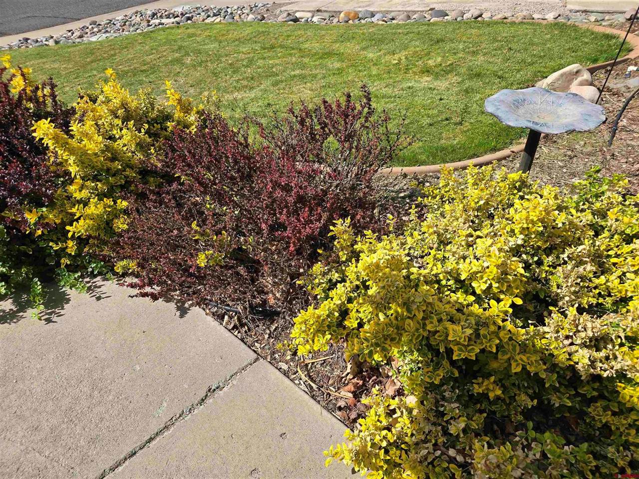 3733 Buffalo Lane, Montrose, CO 81403