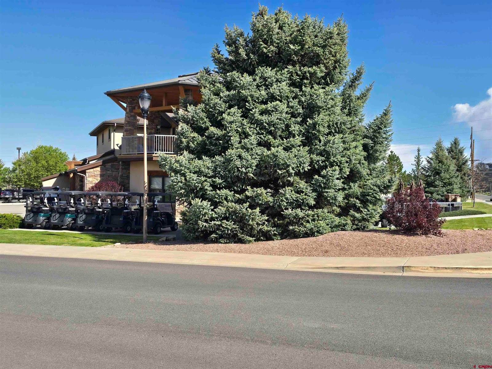 3733 Buffalo Lane, Montrose, CO 81403
