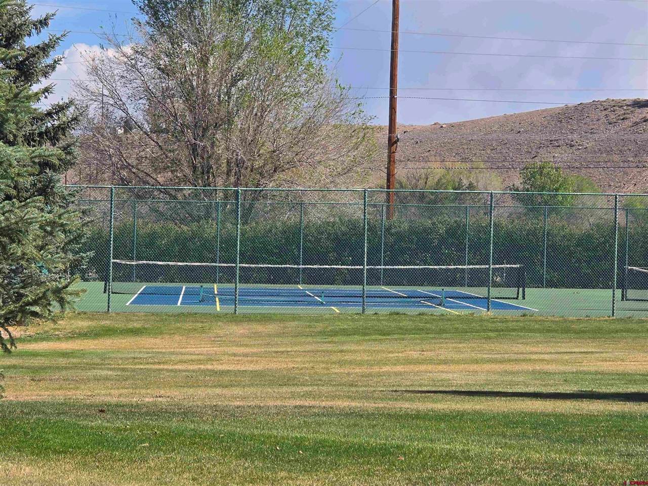 3733 Buffalo Lane, Montrose, CO 81403
