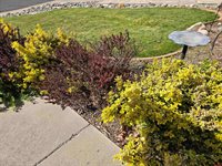 3733 Buffalo Lane, Montrose, CO 81403