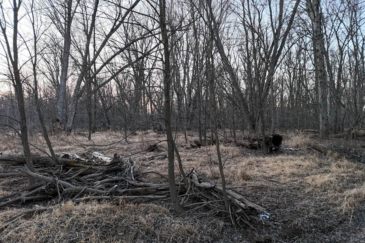 46 Acres Highway 80, Wisconsin Rapids, WI 54457