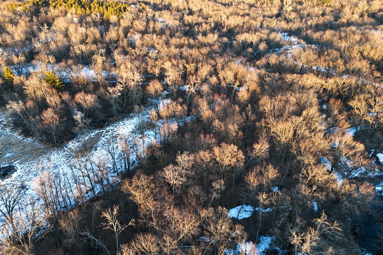 46 Acres Highway 80, Wisconsin Rapids, WI 54457