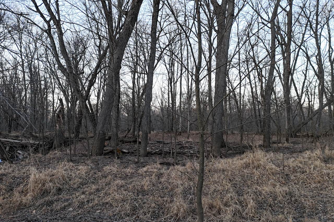 46 Acres Highway 80, Wisconsin Rapids, WI 54457
