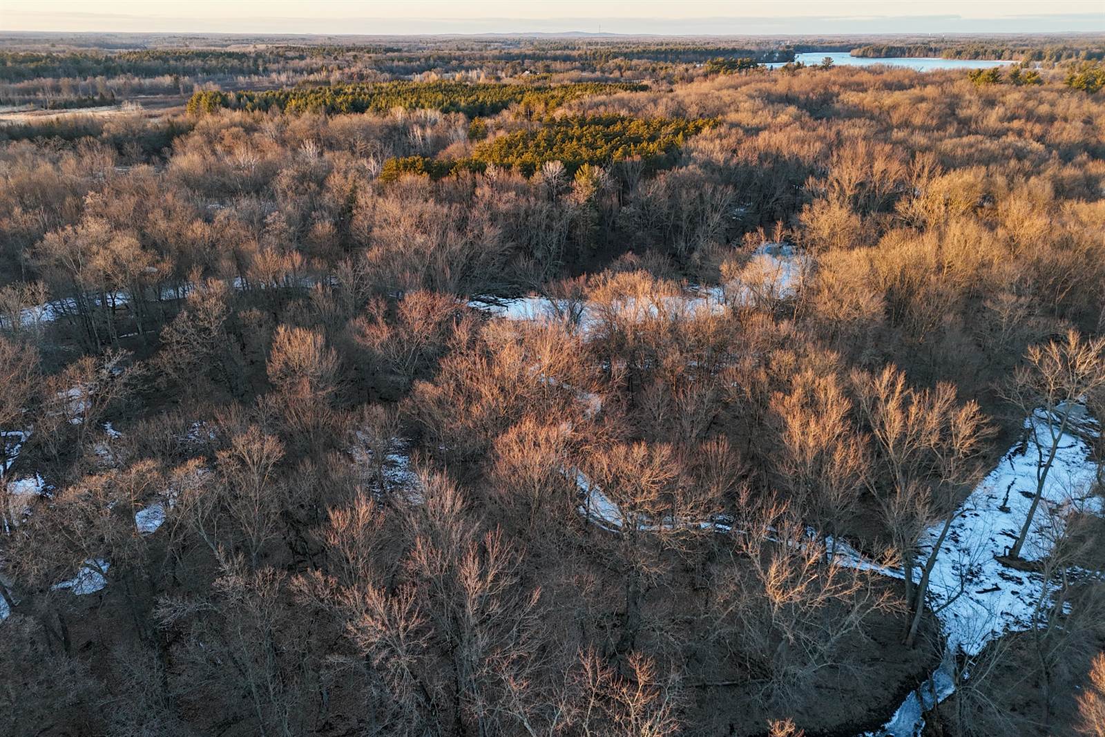 46 Acres Highway 80, Wisconsin Rapids, WI 54457